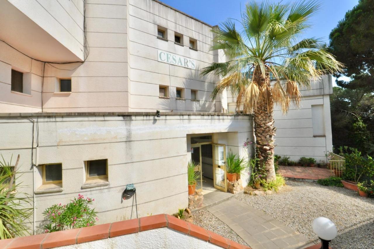 Appartement Cesar